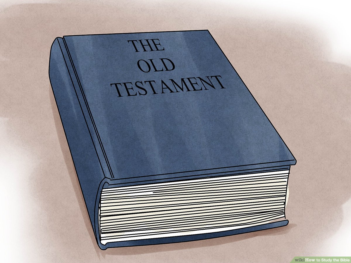 How to Bible Study